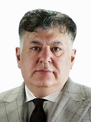 Грин Михаил Евгеньевич